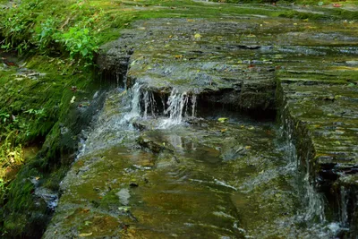 DSC_2768 (Large).JPG